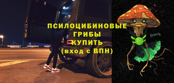 прущий лед Горняк