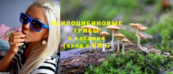 прущая мука Горно-Алтайск