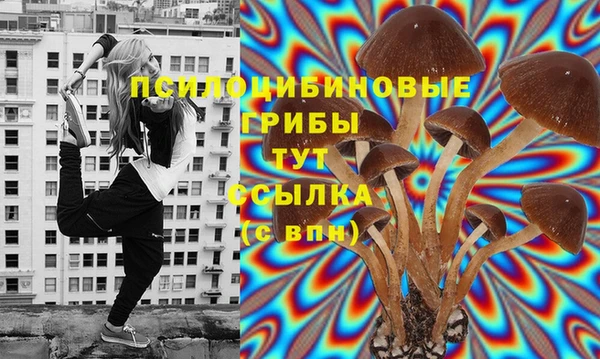 прущий лед Горняк