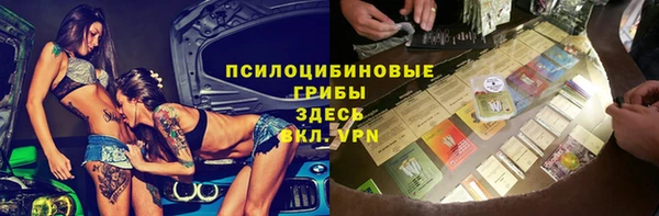прущий лед Горняк