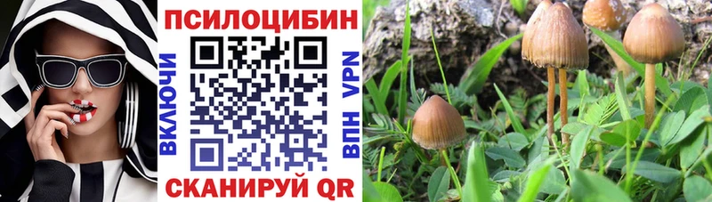 Псилоцибиновые грибы Magic Shrooms  Купить закладки  Крым 